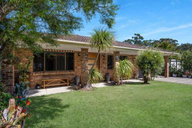 House For Sale - NSW - Callala Beach - 2540 - Holiday Or Everyday Beachside Family Bliss  (Image 2)