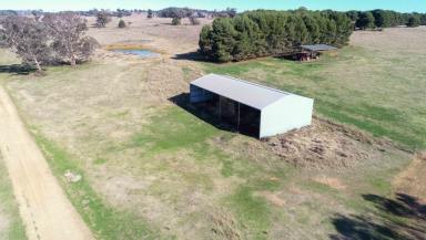 Mixed Farming For Sale - NSW - Baldry - 2867 - Castle Hill  (Image 2)