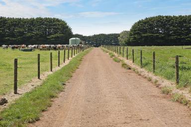 Dairy Sold - VIC - Simpson - 3266 - Top class Heytesbury District Dairy Farm  (Image 2)