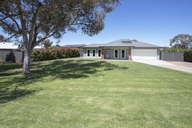 House Sold - VIC - Swan Hill - 3585 - Get in QUICK!  (Image 2)
