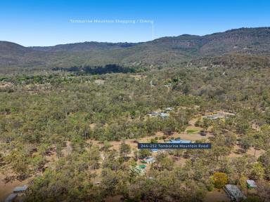 House Sold - QLD - Tamborine - 4270 - 6 Acres of Tranquility!  (Image 2)