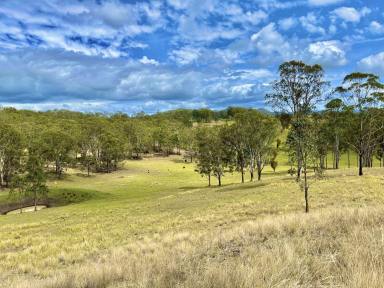 Other (Rural) For Sale - NSW - Piora - 2470 - Countryside Haven  (Image 2)