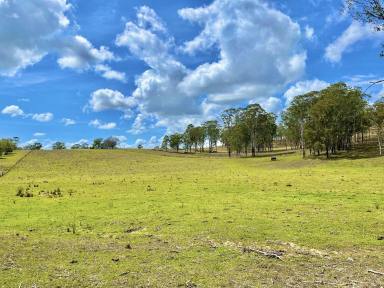 Other (Rural) For Sale - NSW - Piora - 2470 - Countryside Haven  (Image 2)
