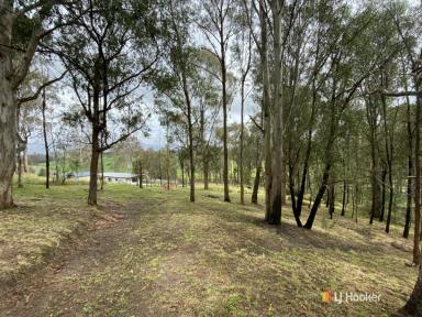 Residential Block For Sale - NSW - Cobargo - 2550 - TWO BLOCKS OF LAND  (Image 2)