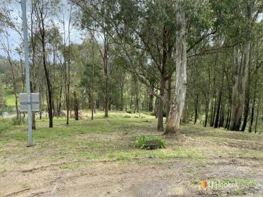 Residential Block For Sale - NSW - Cobargo - 2550 - TWO BLOCKS OF LAND  (Image 2)