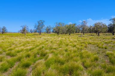 Residential Block Sold - NSW - Bellimbopinni - 2440 - Prime Agistment Land with Lush Kikuyu Grasses and Town Water Access  (Image 2)