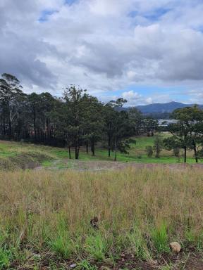 Residential Block For Sale - NSW - Coffs Harbour - 2450 - North Facing Elevated Block Of Land For Sale  (Image 2)