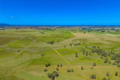 Residential Block For Sale - NSW - Bellimbopinni - 2440 - Embrace The Abundant Farming Opportunities And Foster Success.  (Image 2)