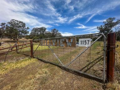 Mixed Farming For Sale - NSW - Willow Tree - 2339 - Liverpool Ranges Grazing  (Image 2)