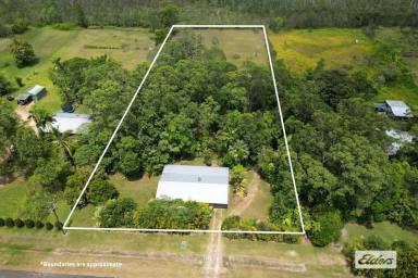 House For Sale - QLD - East Feluga - 4854 - 2 Acres of Tropical Heaven with a Seasonal Creek  (Image 2)