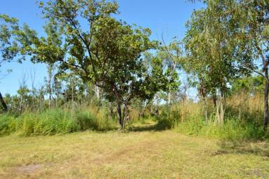Residential Block For Sale - NT - Darwin River - 0841 - Fabulous Starter with all three services and wonderful views across Darwin River  (Image 2)