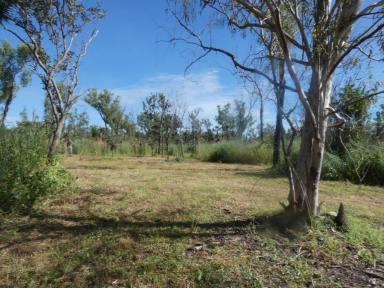 Residential Block For Sale - NT - Darwin River - 0841 - Bore Power and Septic this land is ready to build upon and has a Motivated seller so make an offer!  (Image 2)