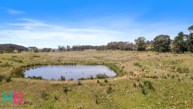 Residential Block For Sale - NSW - Hampton - 2790 - Sublime rural escape, with space to build - DRAFT  (Image 2)
