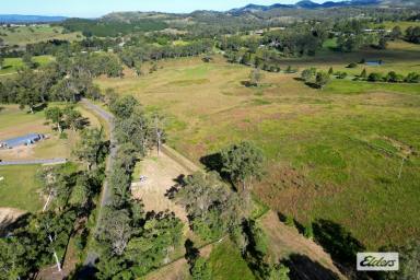 Residential Block For Sale - QLD - Pie Creek - 4570 - ONE OF A KIND! Bordering Farmland!  (Image 2)