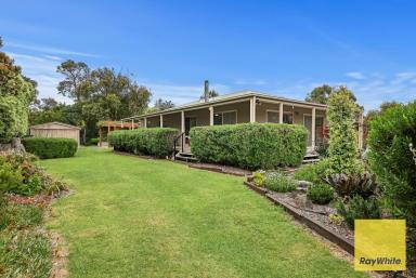 House For Sale - VIC - Sandy Point - 3959 - FIRST TIME OFFERED FOR SALE  (Image 2)