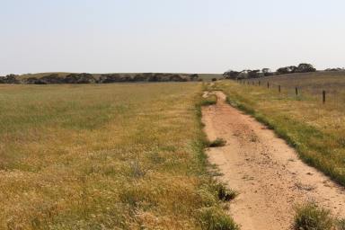 Mixed Farming For Sale - SA - Lameroo - 5302 - Ideal Well Positioned Add-On, with Irrigation Options (Needs Licence)  (Image 2)