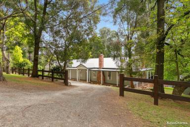 House Leased - VIC - Emerald - 3782 - Stunning Four Bedroom Home Plus Study – GARDENER INCLUDED  (Image 2)