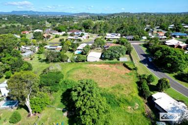 Residential Block For Sale - QLD - Southside - 4570 - BIG BLOCK - Town Water 3000m2 Lot!  (Image 2)
