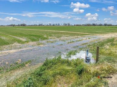 Cropping For Sale - VIC - Echuca - 3564 - Rural Living/Income on Echuca's Doorstep  (Image 2)