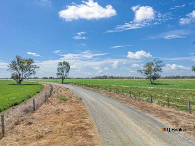 Cropping For Sale - VIC - Echuca - 3564 - 200 Acres on Echuca's Doorstep - Vendor Terms Considered  (Image 2)