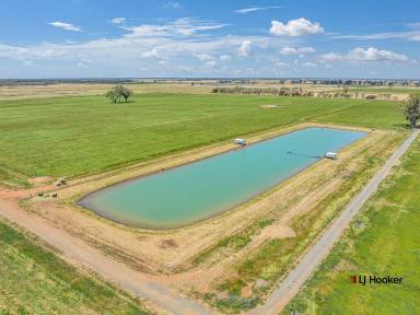 Cropping For Sale - VIC - Echuca - 3564 - 200 Acres on Echuca's Doorstep - Vendor Terms Considered  (Image 2)