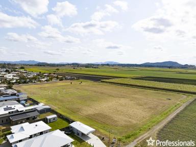 Residential Block Sold - QLD - Walkerston - 4751 - 2.61 Ha Land for Sale in Walkerston, Queensland!  (Image 2)