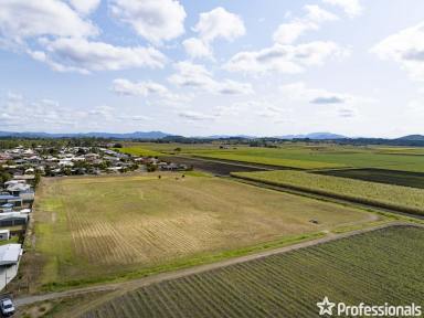 Residential Block Sold - QLD - Walkerston - 4751 - 2.61 Ha Land for Sale in Walkerston, Queensland!  (Image 2)