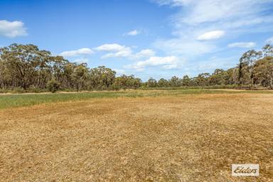 Residential Block For Sale - VIC - Longlea - 3551 - Camping and Recreation. 28 Acres within the Wellsford State Forest  (Image 2)