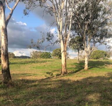Other (Rural) Sold - QLD - Oakview - 4600 - OAKVIEW PROPERTY  (Image 2)