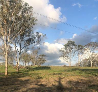 Other (Rural) Sold - QLD - Oakview - 4600 - OAKVIEW PROPERTY  (Image 2)