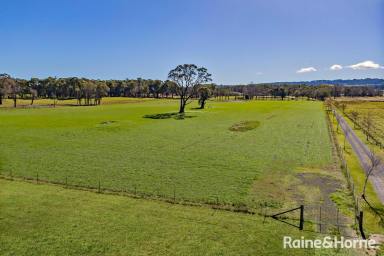 House For Sale - NSW - Glenquarry - 2576 - Luxury Estate in Glenquarry - A Haven of Beauty and Functionality  (Image 2)