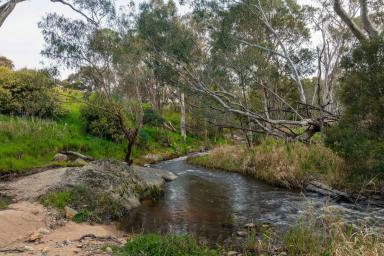 Lifestyle Sold - VIC - Euroa - 3666 - "Falls End" - Seven Creeks Frontage, A Beautiful Natural Setting  (Image 2)