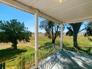 House Leased - NSW - Tamworth - 2340 - Beautiful Country Views  (Image 2)