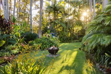House Sold - QLD - Cooroy - 4563 - Secret Oasis in the Heart of Cooroy  (Image 2)