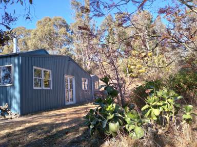 Acreage/Semi-rural Leased - NSW - Kanimbla - 2790 - Mary's Hill  (Image 2)