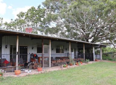 Other (Rural) For Sale - QLD - Kin Kin - 4571 - HINTERLAND HIDEAWAY  (Image 2)
