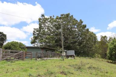 Other (Rural) For Sale - QLD - Kin Kin - 4571 - HINTERLAND HIDEAWAY  (Image 2)