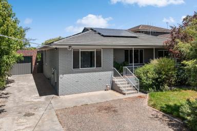 House Sold - VIC - Flora Hill - 3550 - Fully Refurbished, Low-Maintenance Living  (Image 2)