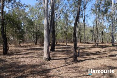Residential Block Sold - QLD - Apple Tree Creek - 4660 - AUCTION 9TH DEC 2023 ON SITE - 1HA Block  (Image 2)