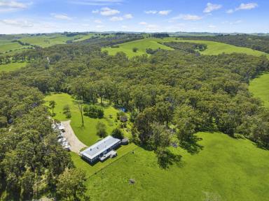 Acreage/Semi-rural For Sale - VIC - Buffalo - 3958 - "Windrows" Reconnect with nature in your own private bushland setting  (Image 2)