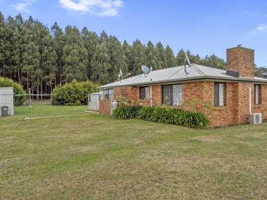 House For Sale - TAS - Trowutta - 7330 - Your New Home Awaits in a Rural Setting.  (Image 2)