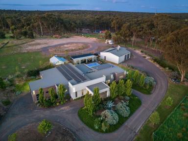 House Sold - VIC - Junortoun - 3551 - Modern Masterpiece with Incredible Industrial Level Shed - 3 acres (approx.)  (Image 2)