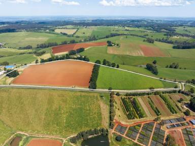 Mixed Farming For Sale - VIC - Gembrook - 3783 - High Quality Mixed Farming and Lifestyle Opportunity  (Image 2)