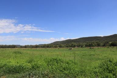 Other (Rural) For Sale - NSW - Bellata - 2397 - BALANCED GRAZING WITH BUILDING ENTITLEMENT & FEEDLOT AWAITS YOUR OWN INTENTIONS  (Image 2)