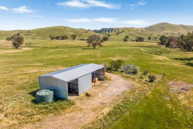 Mixed Farming Sold - VIC - Mount Lonarch - 3468 - 'Arthurs' 115 Ha (283 Ac approx.) Magnificent South Easterly aspect with panoramic views.  (Image 2)