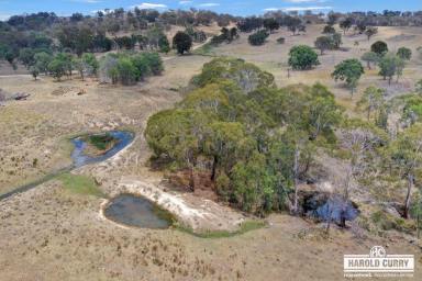 Lifestyle For Sale - NSW - Bolivia - 2372 - Acreage with Spring Water.....  (Image 2)