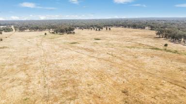 Lifestyle For Sale - VIC - Huntly - 3551 - Opportunity Awaits - 97 Acres Huntly  (Image 2)