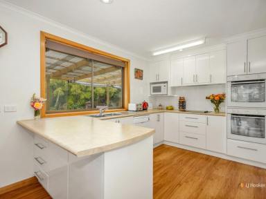 House Sold - TAS - Don - 7310 - Spacious Home on a Large Block Close to Town  (Image 2)