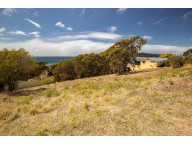 Residential Block For Sale - NSW - Forster - 2428 - VACANT LAND WITH STUNNING OCEAN VIEWS ON BECKER ROAD, FORSTER  (Image 2)