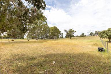 Residential Block For Sale - SA - Naracoorte - 5271 - Country vista on the edge of town (Image 2)